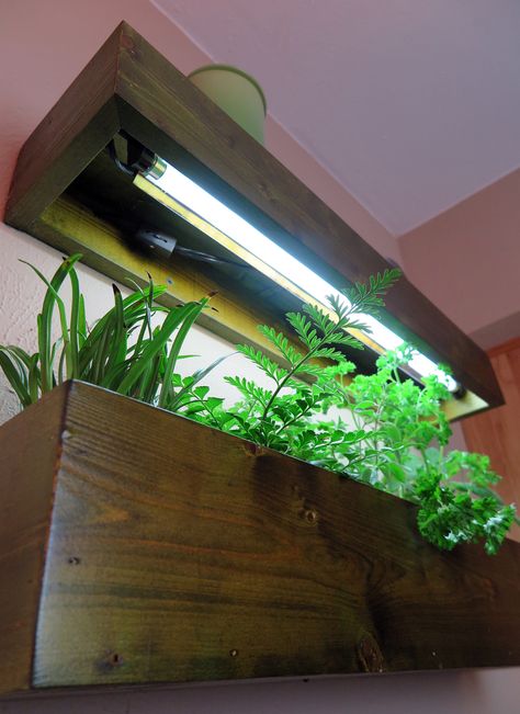 Plantgeek Chic - Kitchen Grow Light Shelves… | Halleck Horticultural Grow Light Wall Shelves, Indoor Grow Light Garden, Growing Herbs Indoors With A Grow Light, Indoor Plant Wall With Grow Lights, Modern Grow Light, Indoor Herb Garden Grow Light, Indoor Herb Garden With Grow Light, Shelves With Grow Lights, Indoor Grow Light Ideas