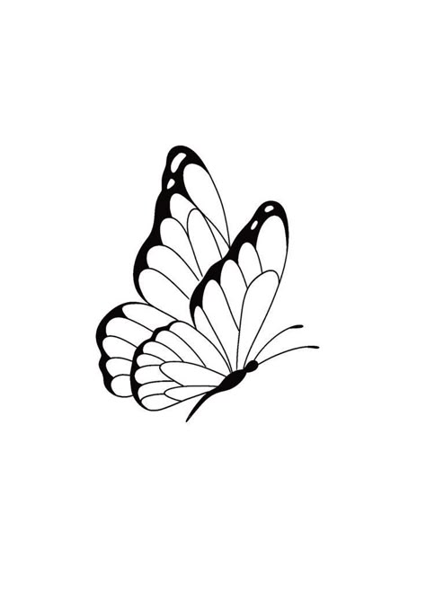 လိပ်ပြ�ာ Tattoo, Small Butterfly Drawing, Butterfly Tattoo Stencil Simple, Butterfly Stencil Tattoo, Butterfly Drawing Outline, Butterflies Coloring Pages, Butterfly Stencils, Butterfly Tattoo Cover Up, Butterfly Tattoos Images