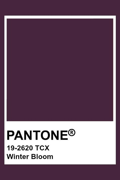 Pantone Plum, Purple Pantone, Plum Paint, Pantone Tcx, Pantone Color Chart, Blackberry Wine, Pantone Swatches, Pantone Colours, Violet Brown