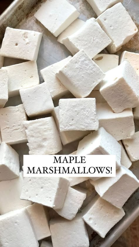 Homemade Maple Marshmallows - Whole-Fed Homestead Maple Marshmallows, Healthy Marshmallows, Homemade Marshmallow Recipe, Flavored Marshmallows, Dessert Simple, Recipes With Marshmallows, Homemade Marshmallows, Cane Sugar, December 13