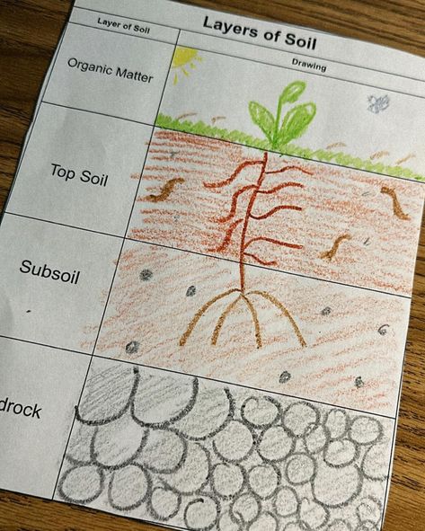 Dirt cups were a HIT today as we wrapped up our rock and soil unit 🪱🌱🪨 We learned about the different layers of soil and the texture/makeup of each one. Then we added a food to our cup that represented that layer of soil. Of course, we had to top with some organic matter. My kids had been looking forward to this for weeks and rated it well above a 10/10 😋 Layers Of Soil Worksheet, Layers Of Soil Project, Layers Of Soil, Soil Activities, Texture Makeup, Dirt Cups, Division Worksheets, We Rock, Soil Layers