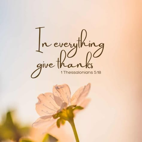 Thank You Jesus Quotes, Grateful Thankful Blessed Quotes, Thankful Quotes Life, Thank You Verses, Thank You God Quotes, Thank God Quotes, Grateful Heart Quotes, Thank You Quotes Gratitude, Gratitude Quotes Thankful