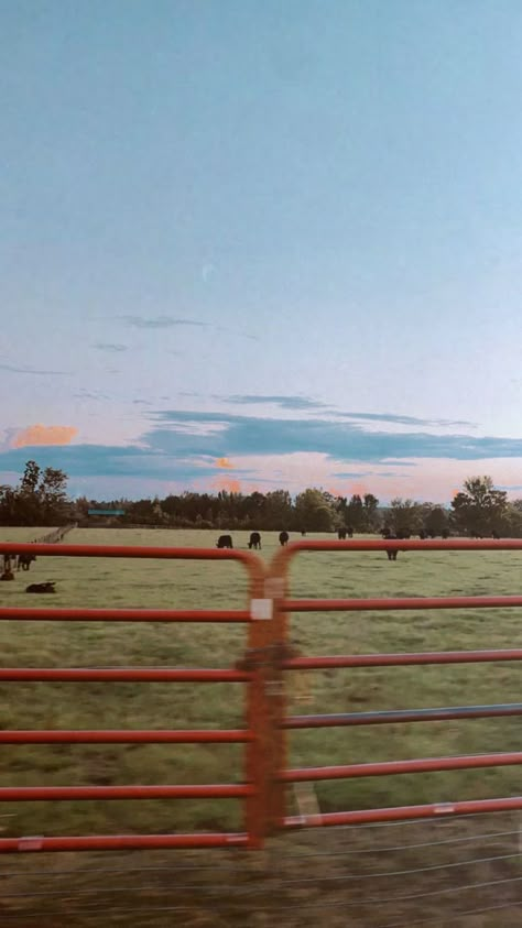 Ranch Vibes, Cowboy Aesthetic, Country Aesthetic, Country Summer, Western Life, Cowgirl Aesthetic, Country Lifestyle, Zach Bryan, Western Aesthetic