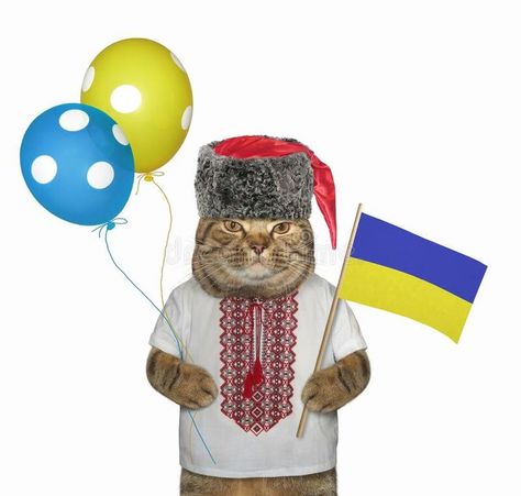 ^ Cat holding Ukrainian flag 🇺🇦💙🇺🇦 © Iryna Kuznetsova | Dreamstime Flag Of Ukraine, Beige Cat, Ukraine Flag, Ukrainian Flag, Cat Holidays, The Flag, Wind Sock, Photo Image, Ukraine