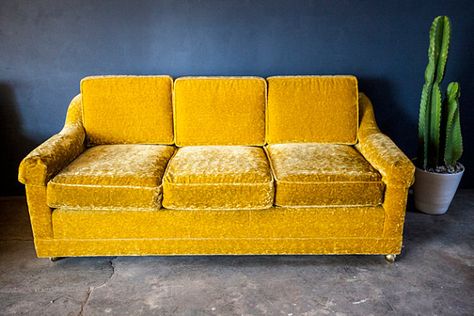 Sweet Sofa, Gold Velvet Sofa, Yellow Velvet Sofa, Suede Couch, Gold Couch, Small Sleeper Sofa, Leather Sofa And Loveseat, Sofa Pictures, Yellow Couch