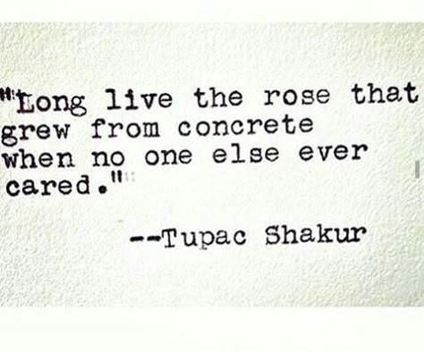 "the rose that grew from concrete when no one else ever cared" -Tupac Shakur Tupac Poems, Tupac Shakur Quotes, 2pac Quotes, Tupac Quotes, Rapper Quotes, Senior Quotes, Tupac Shakur, Tupac, Lyric Quotes