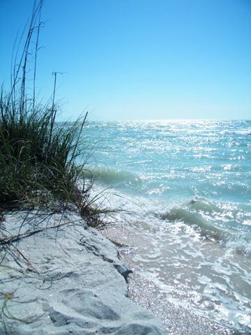 Beach 2 Beach Blue, Have Inspiration, I Love The Beach, Florida Beach, Sanibel Island, Beach Quotes, Sand And Water, Beautiful Sea, Beach Living