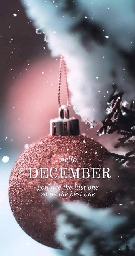 1 Month Till Christmas, New Month Quotes December, Hello December Wallpaper Aesthetic, Welcome December Hello, December Aesthetic Month, December New Month Quotes, December Welcome Quotes, Back To December Aesthetic, Its December Quotes