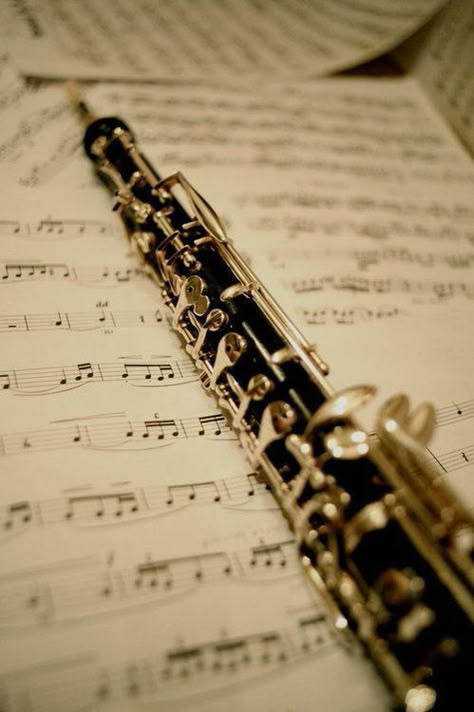 Oboe Aesthetic, Clarinet Aesthetic, Oboe Music, Mozart In The Jungle, Benfica Wallpaper, Band Nerd, Music Appreciation, Band Geek, Woodwind Instruments