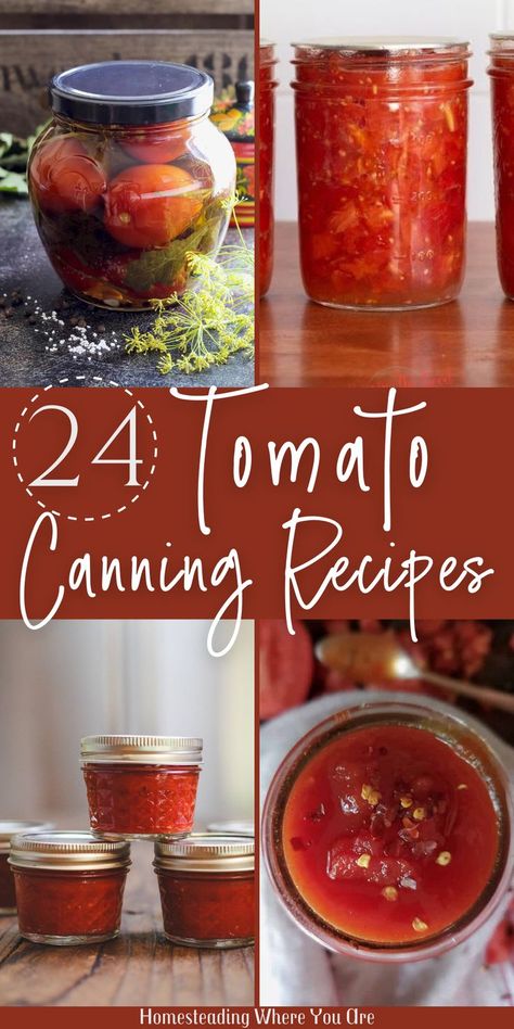 Don't let all those fresh tomatoes from the garden go to waste. Try a few different tomato canning recipes. From fresh tomato sauce to salsa and homemade ketchup, check out all of these different ways to can tomatoes. Many of these recipes are versatile, using either fresh tomatoes or canned tomato sauce! Canning Tomato Recipes Ideas, Best Tomato Sauce Recipe, Tomato Canning Recipes, Garden Tomato Recipes, Best Canned Tomatoes, Canning Tomato Sauce, Canned Tomato Recipes, Recipe Using Tomatoes, Fresh Tomato Sauce Recipe