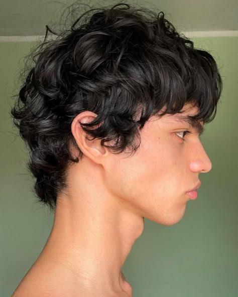 جوني ديب, Mod Hair, Men Haircut Curly Hair, Shaggy Short Hair, Shaggy Haircuts, Wavy Hair Men, Hair Inspiration Short, Haircuts For Curly Hair, Shag Haircut