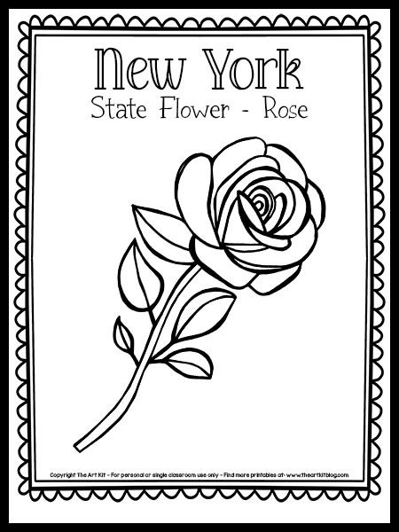 Free Printable New York State Flower Coloring Page, Rose - The Art Kit Preschool Social Studies, New York Flower, The 50 States, State Symbols, Flower Tattoo Sleeve, State Birds, Educational Activities For Kids, Flower Coloring Pages, 50 States