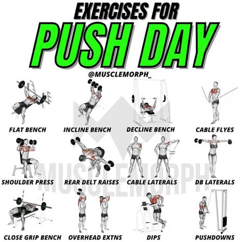 Push Superset Workout, Upper Push Workout, Push Gym Workouts, Push Workout Gym, Push Exercises Gym, Push Dumbbell Workout, Push Workout For Men, Pull Exercises Gym, Push Day Workout Gym