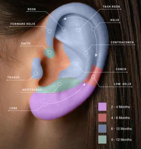 Piercings Chart, Minimalist Ear Piercings, Different Ear Piercings, Unique Ear Piercings, Ear Piercings Chart, Piercing Chart, Types Of Ear Piercings, Cool Ear Piercings, Pretty Ear Piercings