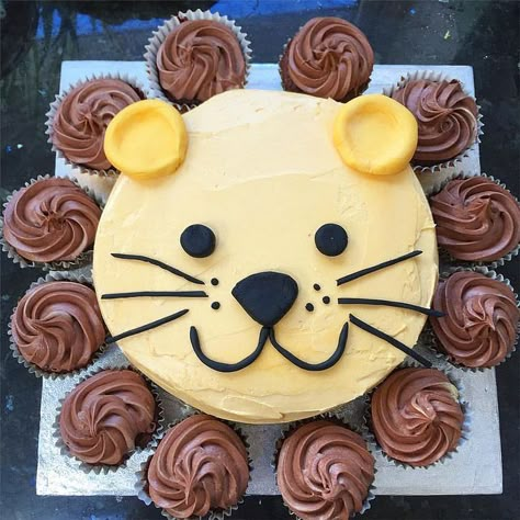 For a second birthday party, a lion cake. An 8 inch sponge cake, covered in orange-tinted buttercream. Sugarpaste ears, eyes, nose, mouth and whiskers. Chocolate cupcakes around the edge for the mane. Easy Birthday Cake, Lion Cake, Lion Birthday, Zoo Birthday, Torte Cupcake, Easy Birthday, Animal Cakes, Jungle Birthday, Simple Birthday Cake