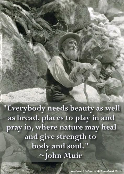 John Muir. How true. God made us to be creative, to enjoy life...as well as to work hard and give Him our best. John Muir Quotes, John Muir Trail, Wilde Westen, Sequoia National Park, Yosemite Valley, The Mountains Are Calling, We Are The World, John Muir, Sierra Nevada