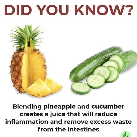 937 Likes, 40 Comments - Sea Moss 🌱 Healthy Living (@veganlifemoss) on Instagram: “Follow 👉🏼 @veganlifemoss 🔥— DID YOU KNOW ❓Blending cucumber 🥒 and pineapple 🍍 is a great way to…”