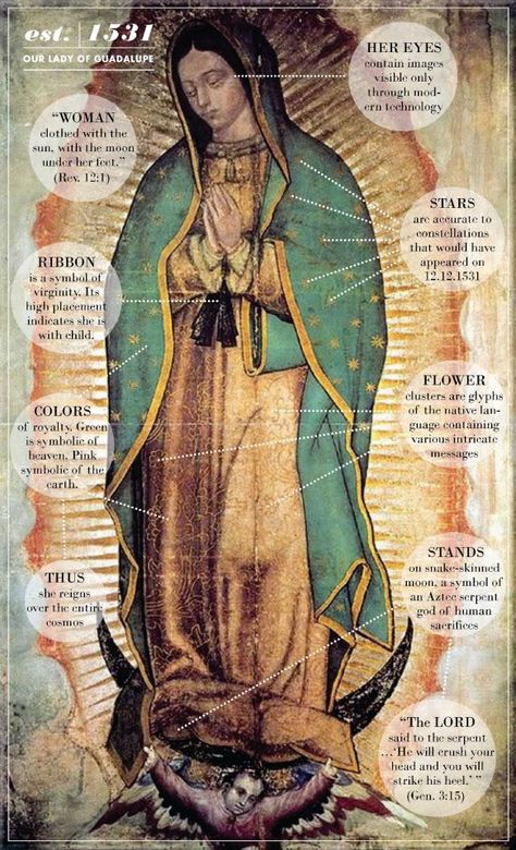 Catholic Homeschool, Catholic Beliefs, Blessed Mary, Virgin Of Guadalupe, Queen Of Heaven, San Michele, Blessed Mother Mary, Our Lady Of Guadalupe, 12 December