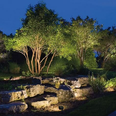 Modern Landscape Lighting, Landscape Lighting Ideas, Garden Lighting Ideas, Landscaping With Large Rocks Front Yard, Lighting Landscape, Landscape Lighting Design, Landscape Rock, Landscaping With Boulders, Outdoor Landscape Lighting