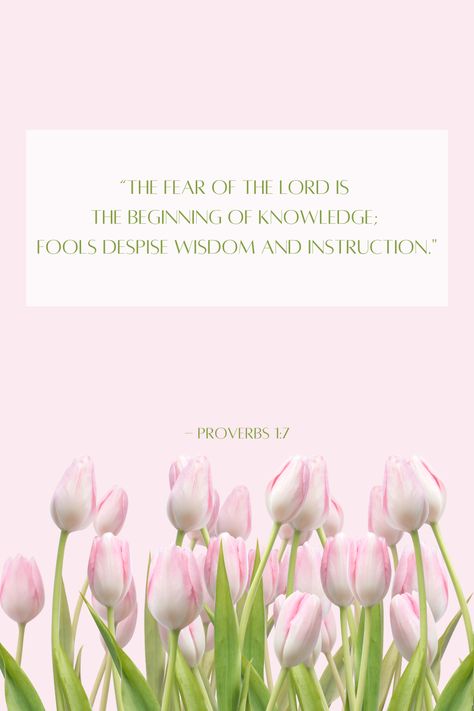 Refresh your mind and spirit with these rejuvenating Bible verses. Let the renewing words bring vitality to your soul." #RenewedMind #RefreshingVerses #BibleRenewal “The fear of the Lord is the beginning of knowledge; fools despise wisdom and instruction." - Proverbs 1:7 Proverbs 1 7, Proverbs 1, The Fear Of The Lord, Proverbs 17 17, Fear Of The Lord, The Fear, Your Soul, Daily Inspiration, The Fool