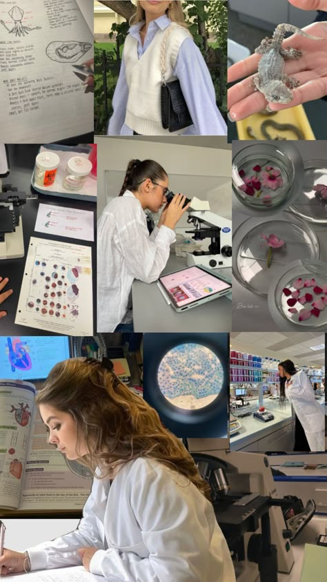 Biology major college aesthetic Lab Aesthetic, Biology Major, Science Girl, Women In Stem, College Aesthetic, Academic Motivation, Molecular Biology, Study Inspo, Marine Biology