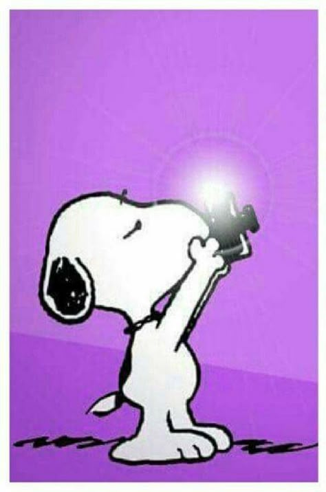 Snoopy Foto fotografieren Snoopy Pictures Image, Snoopy With Headphones, Snoopy Camera, Snoopy With Camera, Snoopy White Background, Snoopy Art, Snoopy Peanuts In Italiano, Peanuts Movie, Peanuts Snoopy Woodstock