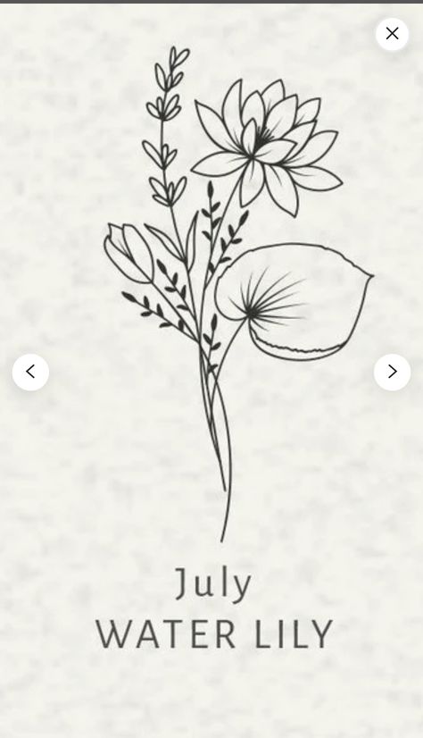 July Flowers Tattoo, Waterlily Drawing Tattoos, Embroidery Water Lily, Water Lily And Carnation Tattoo, Larkspur And Water Lily, July Birth Flower Tattoo Fine Line, Water Lily Birth Flower Tattoo, Intertwined Flower Tattoo, Water Lilly Tattoo Stencils