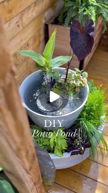 Small Space Water Feature, Garden Water Features Ideas Small Spaces, Plant Pot Pond Ideas, The Ponds Farmhouse, Diy Planter Water Feature, Water Features For Small Gardens, Simple Outdoor Landscaping Ideas, Patio Water Garden, Diy Porch Fountain