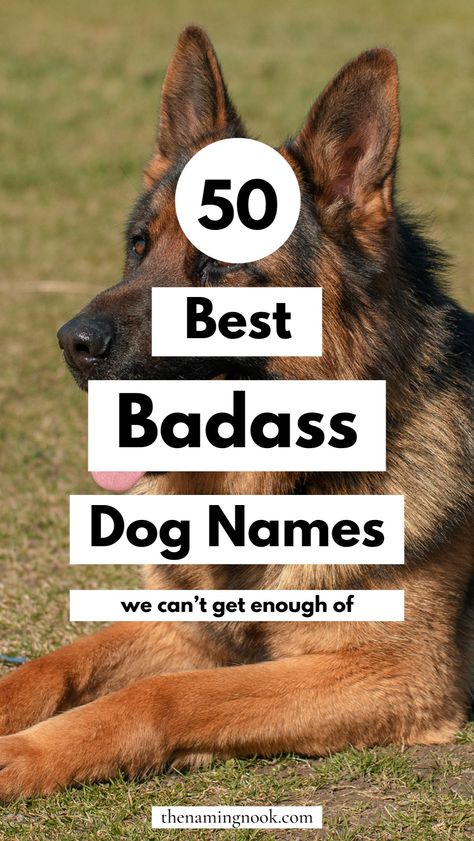 Looking for a cool and badass dog name idea that’s one-of-a-kind? Explore our 50 edgy names for dogs and puppies. Whether you have a male or female dog, these unique dog names are ideal cool dog! dog name aesthetic, dog name ideas cool, unique puppy names. Names For Dogs Boys, Masculine Dog Names, Dog Name List, Cute Dog Names Unique, Male Puppy Names, Female Dog Names Unique, Puppy Names Boy, Names For Male Dogs