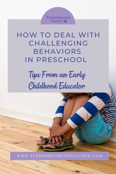 Preschool Behavior Management, Regulating Emotions, Defiant Behavior, Preschool Behavior, Positive Behavior Management, Parent Hacks, Early Childhood Educator, Homeschool Preschool Curriculum, Conscious Discipline