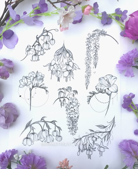 Flowers Fuchsia, Ornamental Drawing, Thigh Piece Tattoos, Plant Tattoos, Fern Tattoo, Illustration Tattoo, Vine Tattoos, Flash Tattoo Designs, Variety Of Flowers