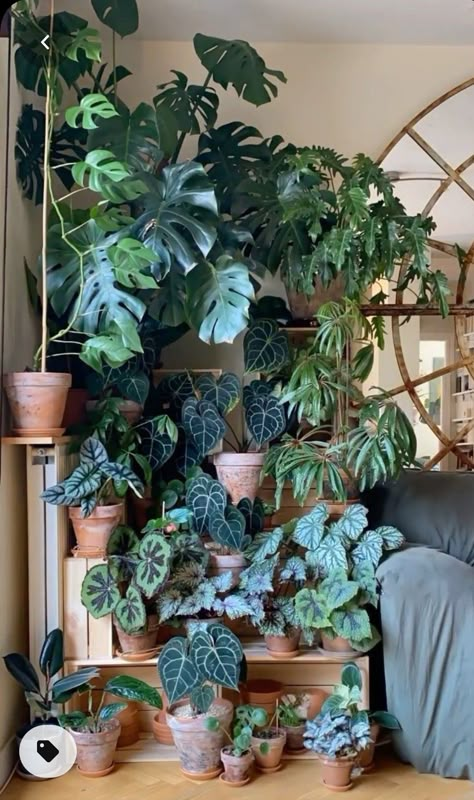 Succulents Aesthetic, Peggy Lee, Indoor Plant Wall, Deco Jungle, Plant Goals, نباتات منزلية, Hanging Plant Wall, Plant Room, Inside Plants