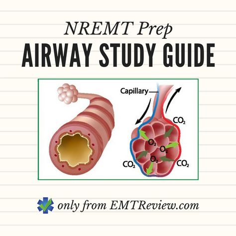 Nremt Study Guide Test Prep, Nremt Study Guide, Nremt Study, Medic School, Future Paramedic, Emt Student, Emt Gear, Emt Training, Emergency Medical Responder