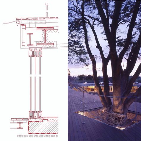 Troy Donovan on Instagram: “Fuji Kindergarten Architect: Tezuka Architects @tezuka_architects  Photos from the architects website. • #Fachada #facadesection…” Fuji Kindergarten, Tezuka Architects, Architects, Kindergarten, Villa, On Instagram, Instagram