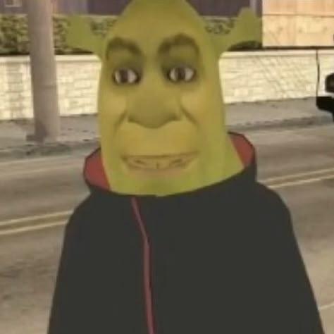 Gta Matching Pfp, W Pfp, Hilarious Memes, Cozy Night, Introverted, The Fear, Shrek, Matching Pfp, Night In