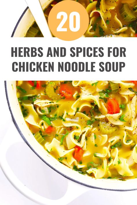 20 Best Herbs and Spices for Chicken Noodle Soup Chicken Soup Spices, Spices For Chicken Soup, Chicken Noodle Soup Spices, Seasoning For Chicken Noodle Soup, Chicken Noodle Soup Seasoning, Spices For Chicken, Homemade Chicken Vegetable Soup, Chicken Soup Seasoning, Best Chicken Seasoning