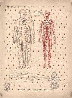 Daniel Martin Diaz, Anatomy Chart, Alchemic Symbols, Arte Peculiar, Anatomy Models, Esoteric Art, Psy Art, Occult Art, Mystical Art