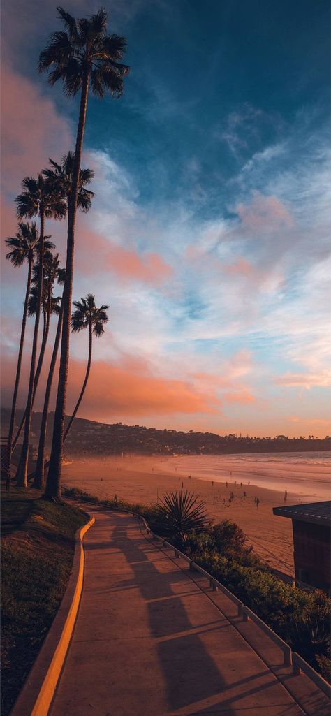 La Jolla Shores #Reddit Iphone 15 Pro, Palm Trees, Iphone 15, The Sun, The Beach, Trees, Wallpapers, Sun, Iphone