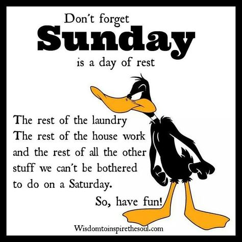 Work Motivational Quotes Funny, Funny Sunday Memes, Rest Quotes, Funny Sunday, Duffy Duck, Duck Quotes, Sunday Humor, Sunday Morning Quotes, Sunday Quotes Funny