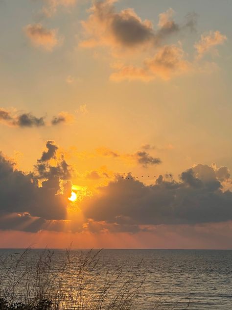 Captured against a backdrop of serene, azure seas, this mesmerizing photograph showcases the ethereal beauty of nature in its purest form. Wisps of cotton-like clouds adorn the expansive sky, gently kissed by the warm hues of the setting sun. Between the radiant glow of the sun and the tranquil waters below, graceful birds soar effortlessly, their silhouettes casting delicate shadows against the heavenly canvas. A harmonious syphony of light, movement, and tranquility, this captivating image inv Light Asthetics Photos, Warmth Aesthetic, Beautiful Images Of Nature, Sun On Water, Sun And Shadow, Light Movement, Aesthetic Sun, Warm Sunset, Pastel Sunset