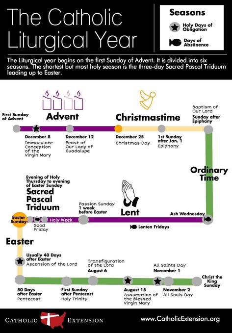 Catholic Liturgical Calendar, Liturgical Calendar, Catholic Beliefs, Catholic Education, Liturgical Year, Catholic Family, Faith Formation, Catholic Kids, Lunar Calendar