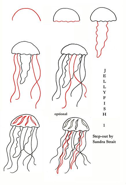 Jellyfish Stepout | Fun & Easy Landscape Step-out tutorial. … | Flickr Jellyfish Quotes, Jellyfish Facts, Glowing Jellyfish, Jellyfish Jewelry, Jellyfish Illustration, Jellyfish Photography, Jellyfish Decorations, Jellyfish Painting, Jellyfish Drawing