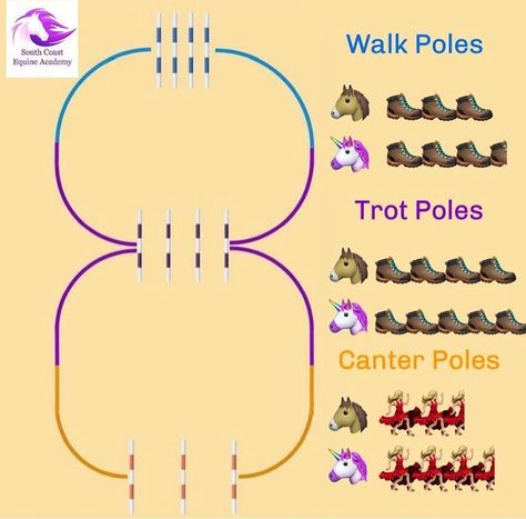 Horse Jumping Exercises, Riding Ideas, Horse Healing, Dressage Exercises, Horse Training Exercises, Ranch Riding, Horse Lessons, Horse Arena, Dressage Training