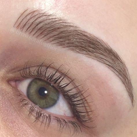 Feather Brows Tattoo, Dark Blonde Microbladed Eyebrows, Feather Eyebrows, Feathered Eyebrows, Tattoo Brows, Permanent Brows, Permanent Eyebrow Tattoo, Mircoblading Eyebrows, Feathered Brows