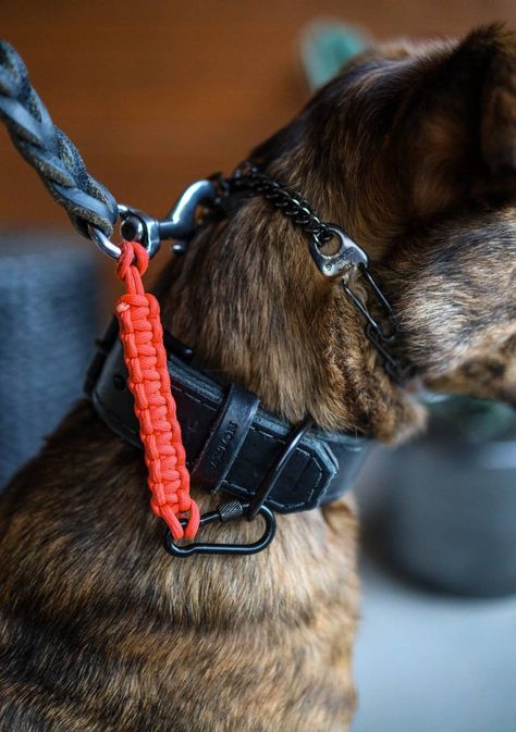 Dog Collar Safety Strap // Static Tactical Dog Gear, Service Dog Gear, Prong Collar, Service Dogs Gear, Dogs Clothes, Leather Dog Collar Custom, Luxury Dog Collars, Dog Enrichment, Animal Accessories