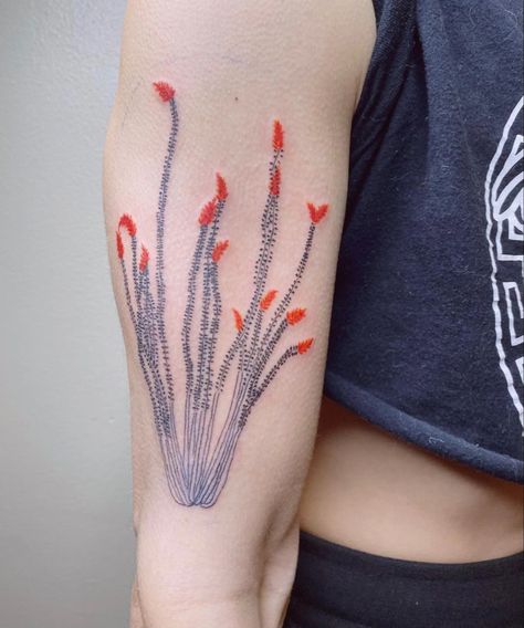 Ocotillo Cactus Tattoo, Desert Plants Tattoo, Oaxacan Tattoo, Desert Plant Tattoo, Ocotillo Drawing, Desert Flowers Drawing, Ocotillo Art, Navajo Tattoos, Ocotillo Tattoo