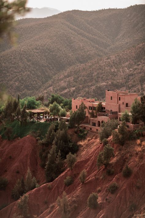 IS IT WORTH VISITING THE ATLAS MOUNTAINS DURING YOUR TRIP TO MOROCCO? Morocco Mountains, Blue Atlas Cedar, Casablanca Hotel, Morocco Trip, Travel Morocco, Atlas Mountains Morocco, Some Beautiful Pictures, Mountain Photography, Life Success