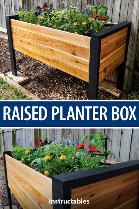 Build a simple raised planter box to hold your favorite flowers. Great for backyards and patios. #Instructables #workshop #woodshop #woodworking #gardening Diy Raised Planter, 8 Months Pregnant, Raised Planter Boxes, Garden Planter Boxes, Diy Planter Box, Diy Raised Garden, Raised Garden Beds Diy, Raised Planter, Planter Box