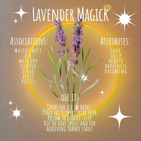 Lavender Witchcraft Uses, Spells To Attract Love, Plant Symbolism, Simmer Pots, Virgo And Aries, Modern Witchcraft, Lavender Crafts, Lavender Perfume, Beauty Spells