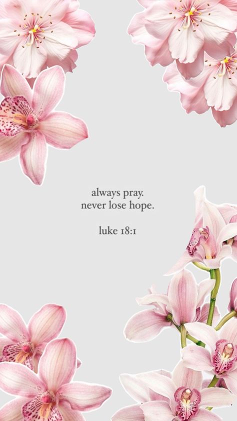 christian collage, “always pray, never lose hope” Luke 18:1 Always Pray Never Lose Hope, Bible Quotes Background, Always Pray, Christian Iphone Wallpaper, Scripture Wallpaper, Wallpaper Bible, Motivational Bible Verses, Christian Quotes Wallpaper, Cute Bibles